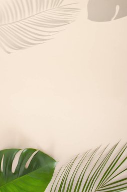 Tropik palmiye yaprakları ve pastel bej üzerine gölgeler. Asgari yaz konsepti.