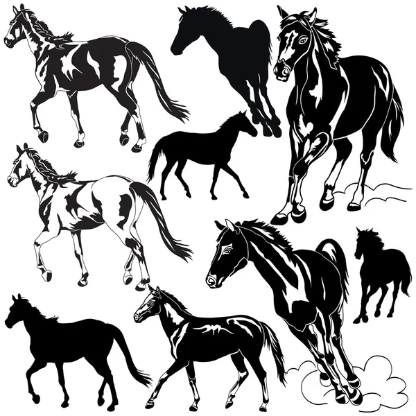 Pferde — Stockvektor