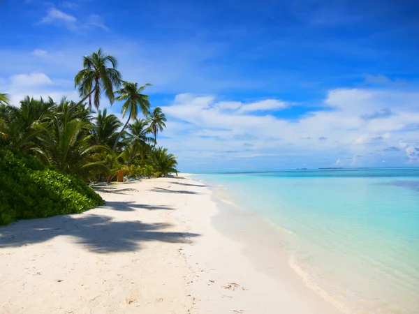 Maldives beach Royalty Free Stock Images