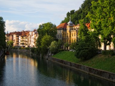 Ljubljanica Nehri'nin