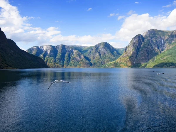 Søgne fjord — Stockfoto