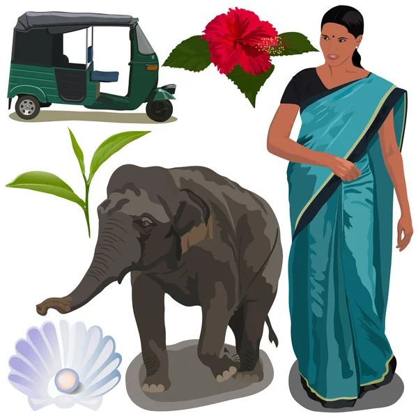 India Icons — Stock Vector