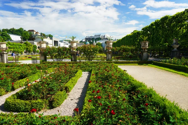 Mirabell Gardens — Stock Photo, Image