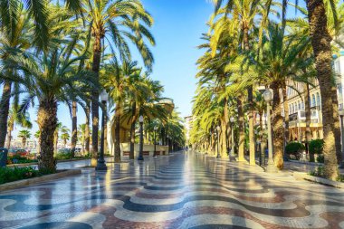 Güneşli bir sabah, Alicante, İspanya 'da renkli desenli Espana tablosu - 25 Mayıs - 2025