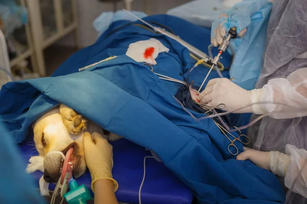 Çoklu delikli ameliyat ve endoskop kullanımı.