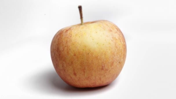 リンゴの品種モルドバは白い背景で回転し動きを止め — ストック動画