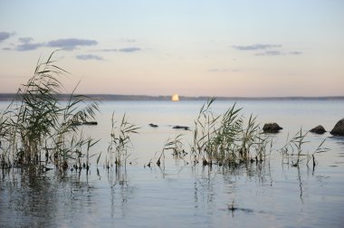 Volga Nehri'nin sakin su