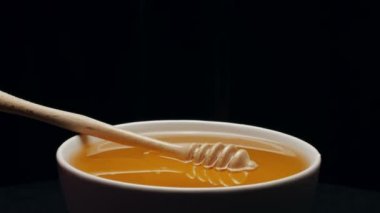 Bal ayı siyah arka plan üzerine, izole bir kapta bal ile döner