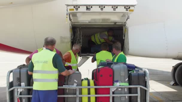 Сотрудники аэропорта выгружают багаж с самолета в международном аэропорту Дельта Дуная — стоковое видео
