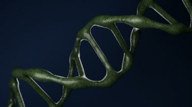 Uzaylı DNA bozunma molekülünün 3D animasyonu