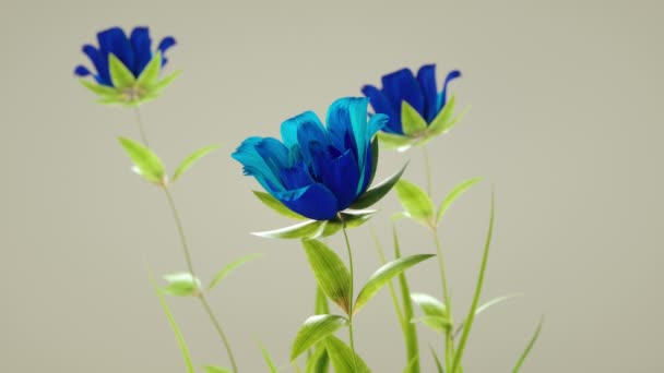 Rosas Azules Florecientes Animación — Vídeo de stock