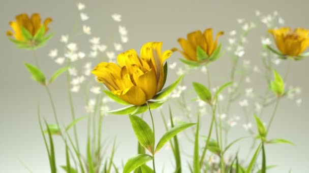 Rosas Amarillas Florecientes Animación — Vídeo de stock