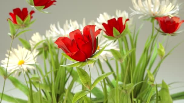 Kvetoucí Červené Růže Animace — Stock video