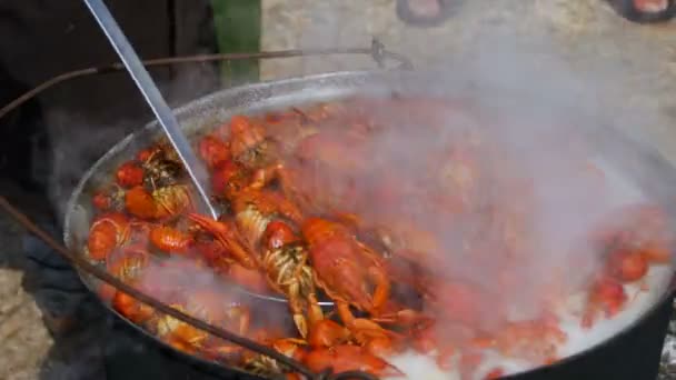 Chef Cuisinier Écrevisses Danube Plein Air Dans Une Bouilloire — Video