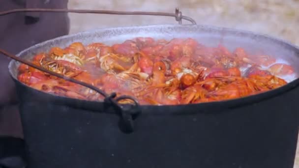 Σεφ Μαγείρεμα Danube Καραβίδες Υπαίθρια Ένα Βραστήρα — Αρχείο Βίντεο