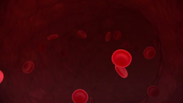 Rode bloedcellen — Stockvideo