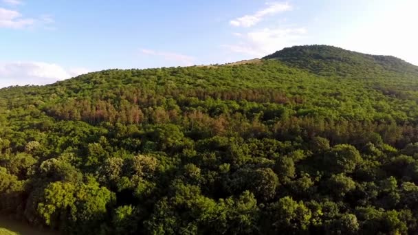 Bosque mixto balcánico, vista aérea — Vídeos de Stock