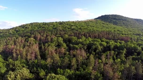 Балканский смешанный лес, вид с воздуха — стоковое видео