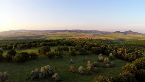 Балканський змішаним лісом, пташиного польоту — стокове відео