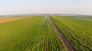 Sulama sebze havadan görünümü