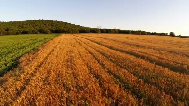 Landschap in beweging luchtfoto — Stockvideo