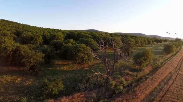 Landschap in beweging luchtfoto — Stockvideo