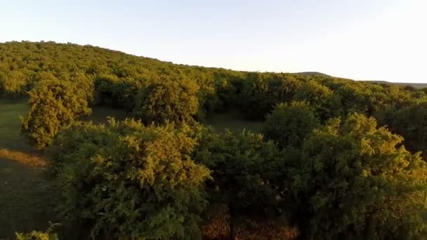 Landschap in beweging luchtfoto — Stockvideo