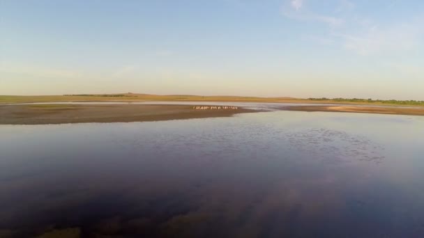 Danube delta national park — Stock Video