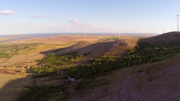 Paisaje con turbinas en movimiento — Vídeos de Stock