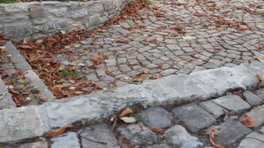 Arnavut kaldırımlı sokakta