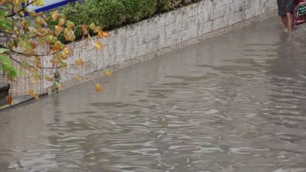 Überflutete Straße — Stockvideo