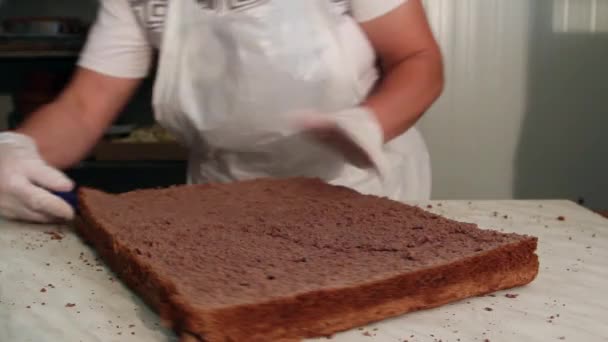 Chefs bolo de chocolate de corte — Vídeo de Stock