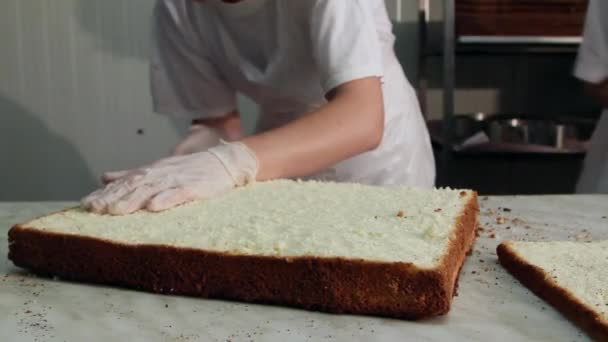 Chef-koks chocolade cake snijden — Stockvideo