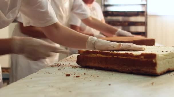 Chef-koks chocolade cake snijden — Stockvideo