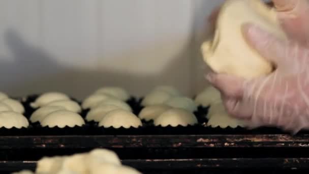 Cocinero pastelero preparando pasteles — Vídeos de Stock