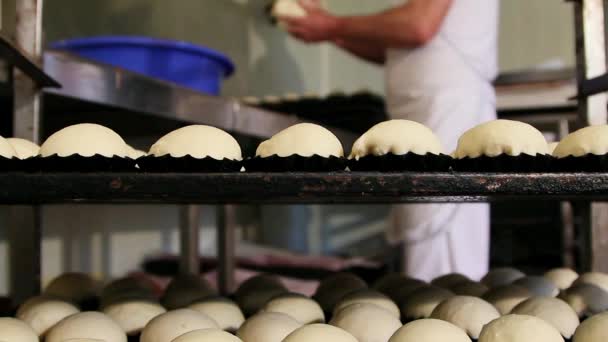 Cocinero pastelero preparando pasteles — Vídeos de Stock