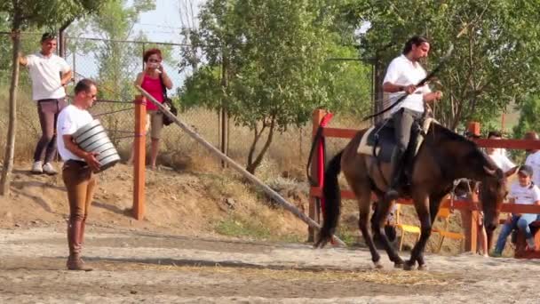 Tiro con arco montado — Vídeos de Stock