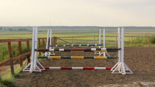 Obstáculos de salto de caballo en slomo — Vídeo de stock