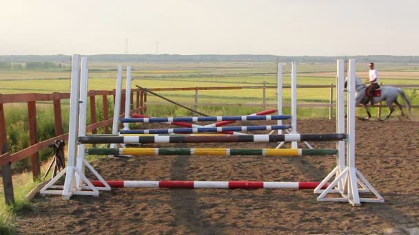 Horse jumping obstacles in slomo — Stock Video