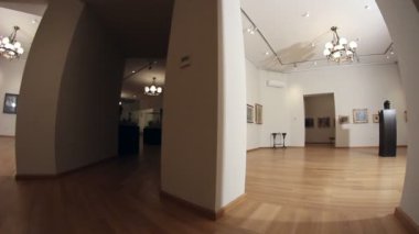 Sanat Müzesi. dolly vurdu.