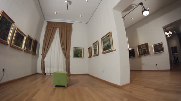 Galerie de peintures. Dolly shot . — Video