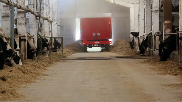 Молочная ферма — стоковое видео