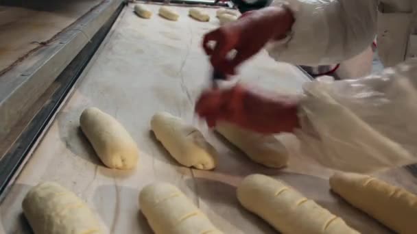 Gewerbliche Bäckerei — Stockvideo