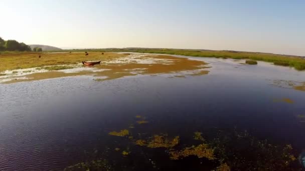Delta Dunaju w ruchu — Wideo stockowe