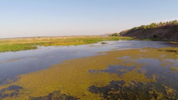 Danube Delta in motion — Stock Video