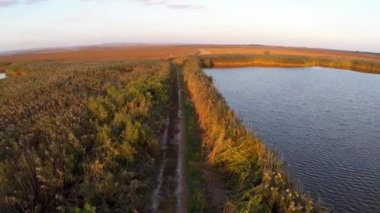 sazlık yol üzerinde uçan