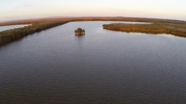 Donaudelta in beweging — Stockvideo