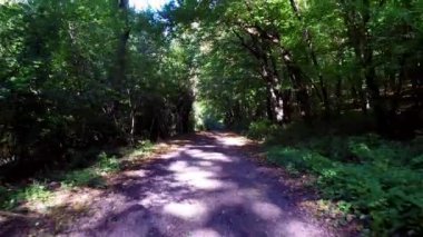 Ormanın içinden bir yol üzerinde uçan