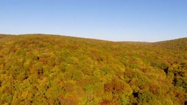 Balkan ormanda vahşi sonbahar renkleri