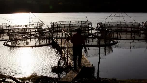 Cages à esturgeons au coucher du soleil — Video